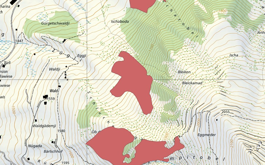 Carte nationale swisstopo avec le périmètre protégé de Schluchen (Prairie sèche)