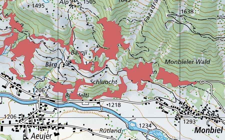 swisstopo national map showing the protected perimeter of Schluocht (Dry meadow)