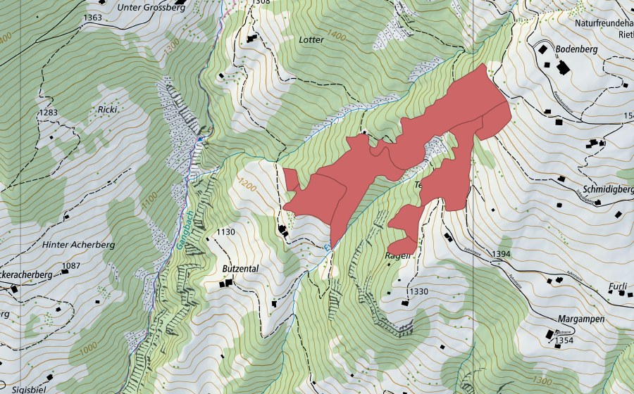 swisstopo national map showing the protected perimeter of Schmidigberg (Dry meadow)