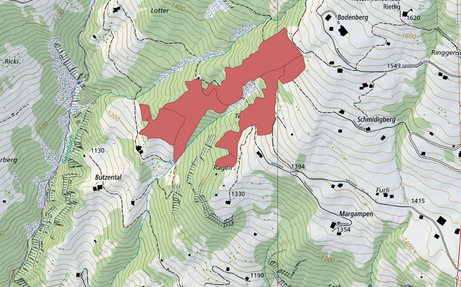 Landeskarte swisstopo mit dem Schutzperimeter von Schmidigberg (Trockenwiese)