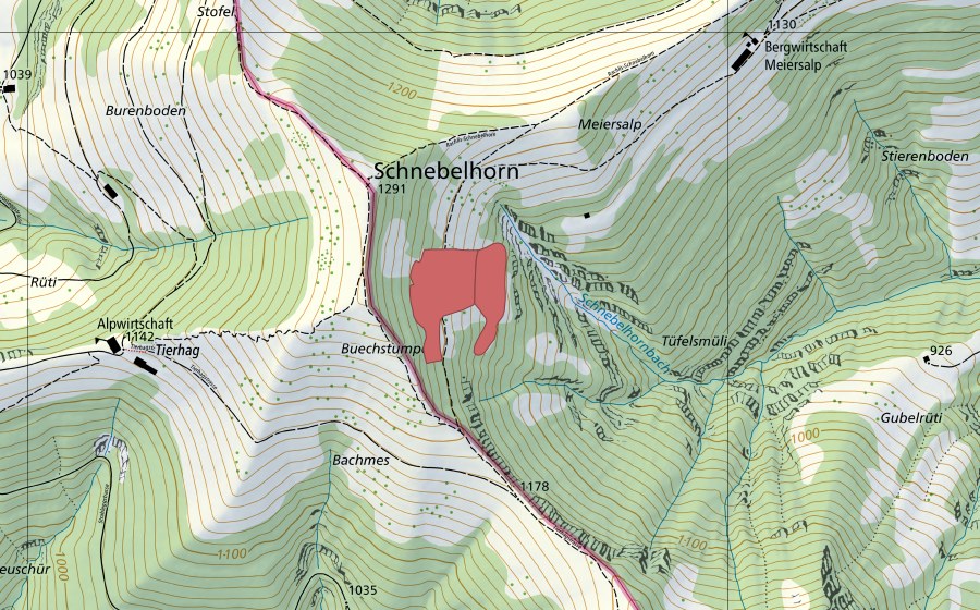 Landeskarte swisstopo mit dem Schutzperimeter von Schnebelhorn (Trockenwiese)