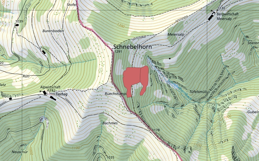 Carta nazionale swisstopo con il perimetro protetto di Schnebelhorn (Prato secco)
