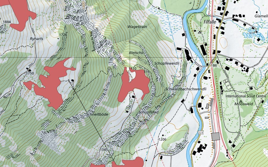 swisstopo national map showing the protected perimeter of Schneitböde (Dry meadow)