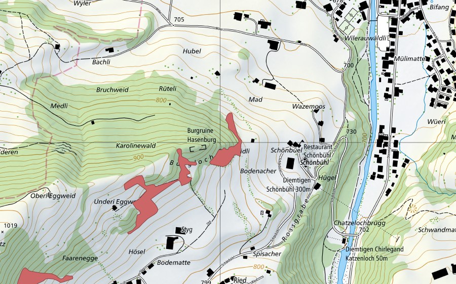 swisstopo national map showing the protected perimeter of Schönbüel (Dry meadow)