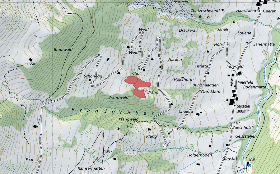 swisstopo national map showing the protected perimeter of Schonegg (Dry meadow)