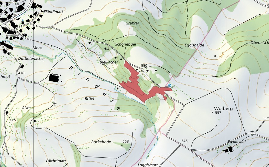 swisstopo national map showing the protected perimeter of Schönenbüel (Dry meadow)