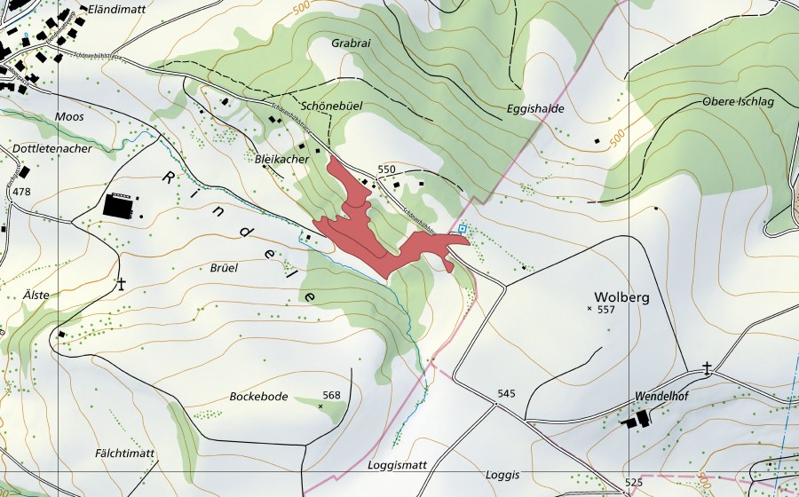 swisstopo national map showing the protected perimeter of Schönenbüel (Dry meadow)