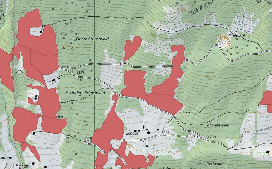 Landeskarte swisstopo mit dem Schutzperimeter von Schopf (Trockenwiese)