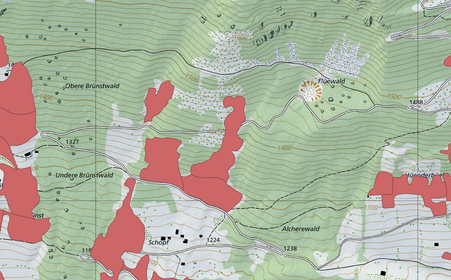 Landeskarte swisstopo mit dem Schutzperimeter von Schopf (Trockenwiese)