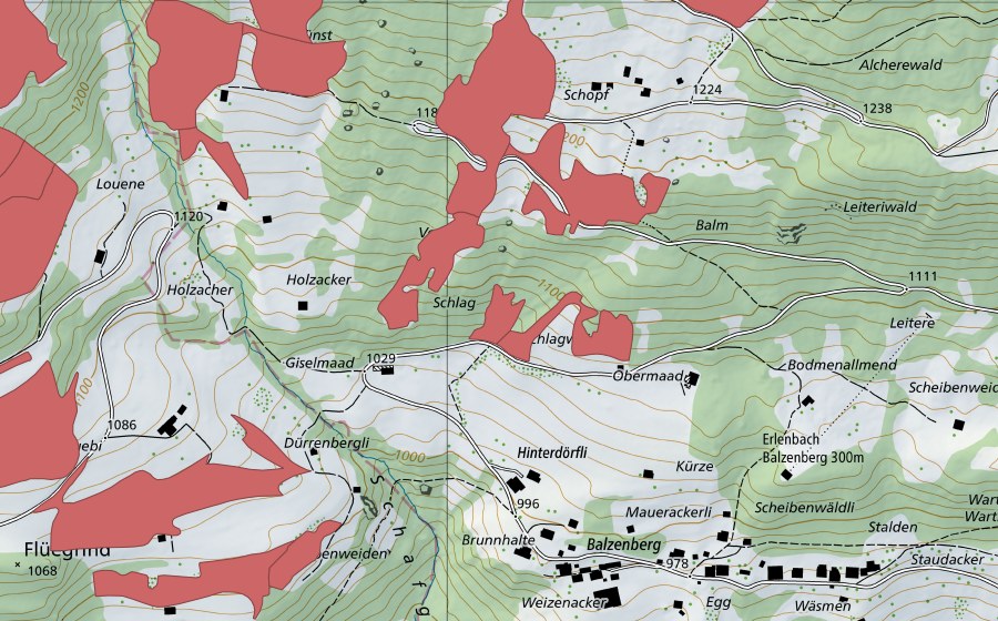 Carte nationale swisstopo avec le périmètre protégé de Schopf (Prairie sèche)