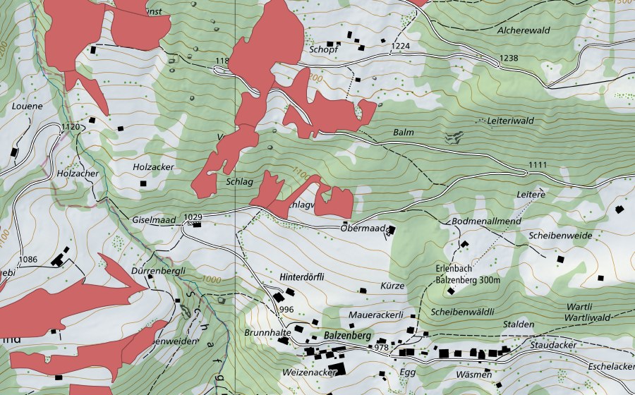 swisstopo national map showing the protected perimeter of Schopf (Dry meadow)