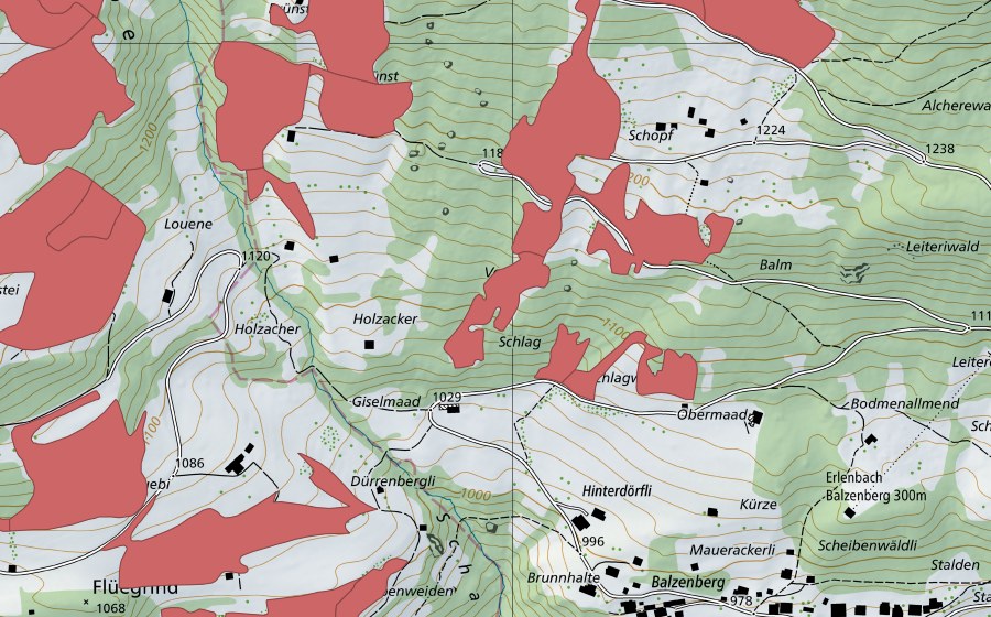 Landeskarte swisstopo mit dem Schutzperimeter von Schopf (Trockenwiese)
