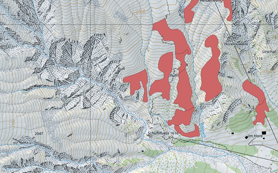 swisstopo national map showing the protected perimeter of Schufli (Dry meadow)