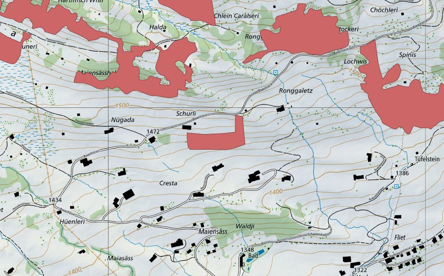 swisstopo national map showing the protected perimeter of Schurli (Dry meadow)