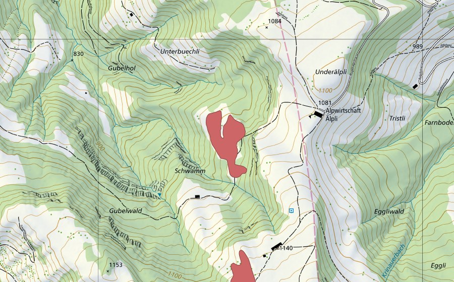 Carte nationale swisstopo avec le périmètre protégé de Schwamm (Prairie sèche)