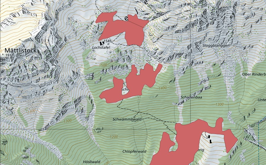 swisstopo national map showing the protected perimeter of Schwämmli (Dry meadow)