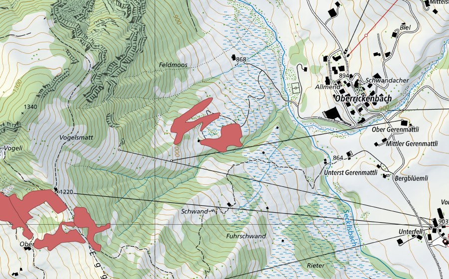 Carte nationale swisstopo avec le périmètre protégé de Schwand (Prairie sèche)