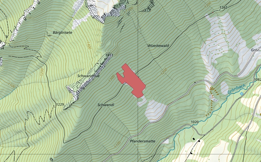 Carte nationale swisstopo avec le périmètre protégé de Schwand (Prairie sèche)