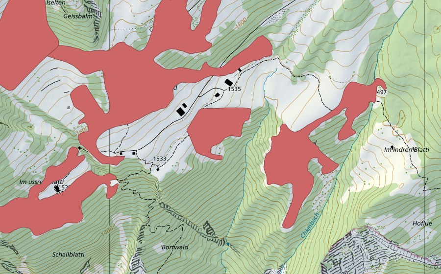 Carte nationale swisstopo avec le périmètre protégé de Schwand (Prairie sèche)