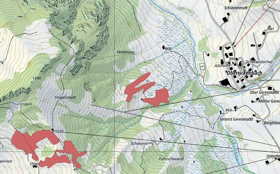 Landeskarte swisstopo mit dem Schutzperimeter von Schwand (Trockenwiese)