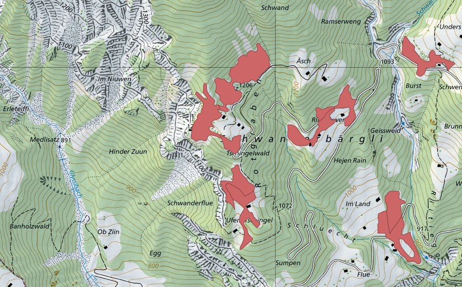 Carta nazionale swisstopo con il perimetro protetto di Schwanderbärgli (Prato secco)