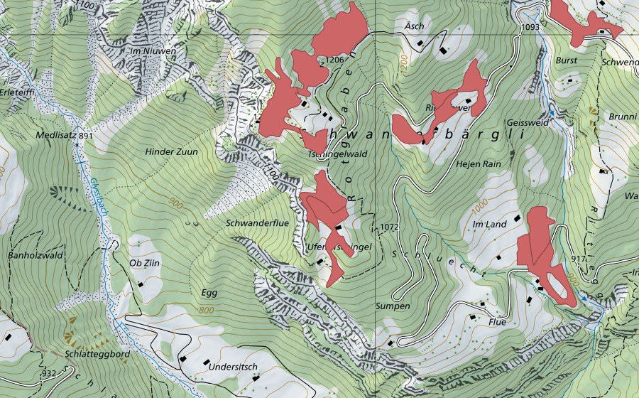 Landeskarte swisstopo mit dem Schutzperimeter von Schwanderbärgli (Trockenwiese)