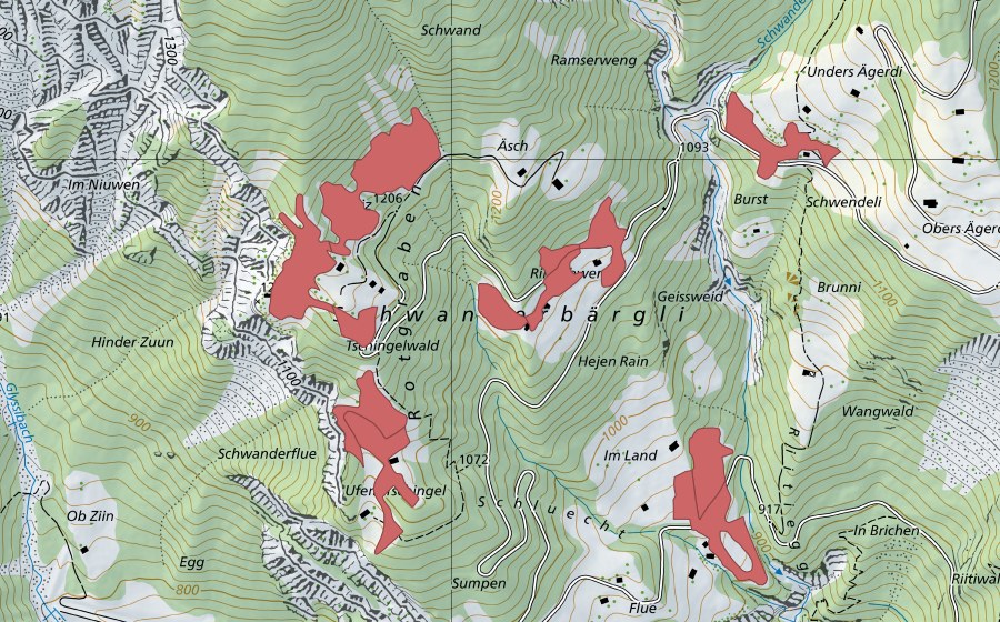 Landeskarte swisstopo mit dem Schutzperimeter von Schwanderbärgli (Trockenwiese)