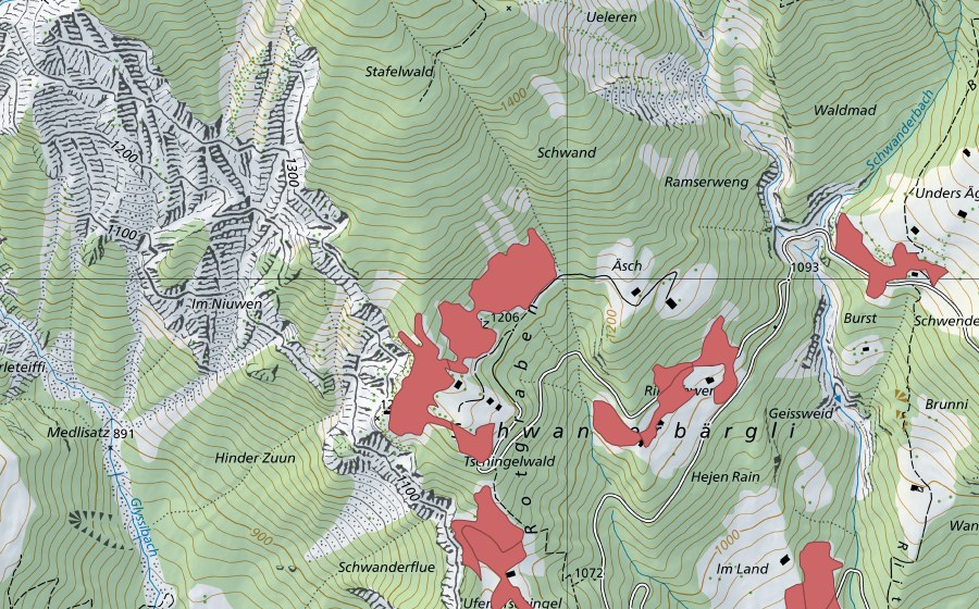 Landeskarte swisstopo mit dem Schutzperimeter von Schwanderbärgli (Trockenwiese)
