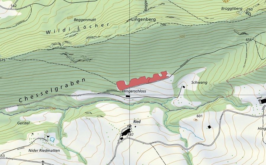 Landeskarte swisstopo mit dem Schutzperimeter von Schwang (Trockenwiese)