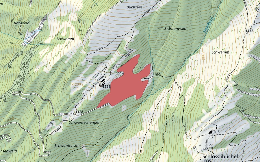 Carte nationale swisstopo avec le périmètre protégé de Schwanten (Prairie sèche)
