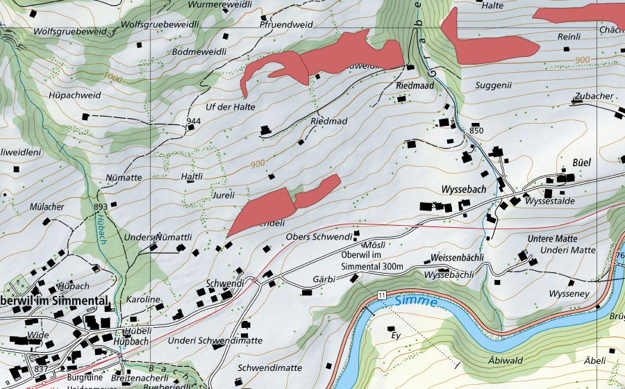 Landeskarte swisstopo mit dem Schutzperimeter von Schwendi (Trockenwiese)