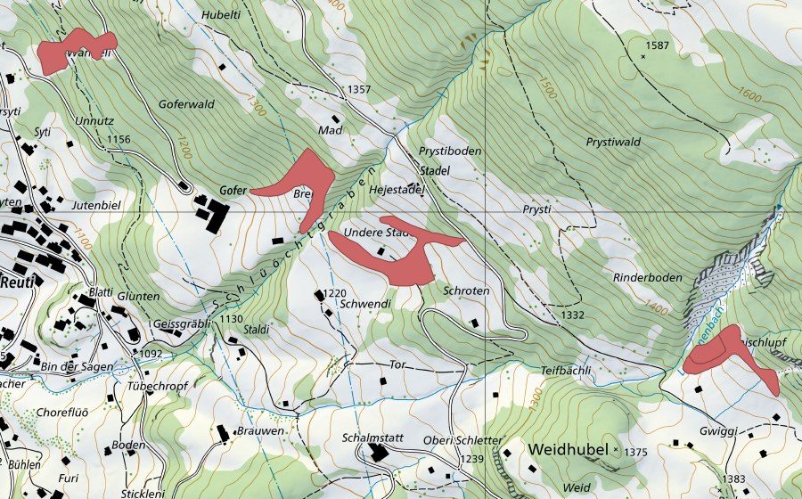 swisstopo national map showing the protected perimeter of Schwendi (Dry meadow)
