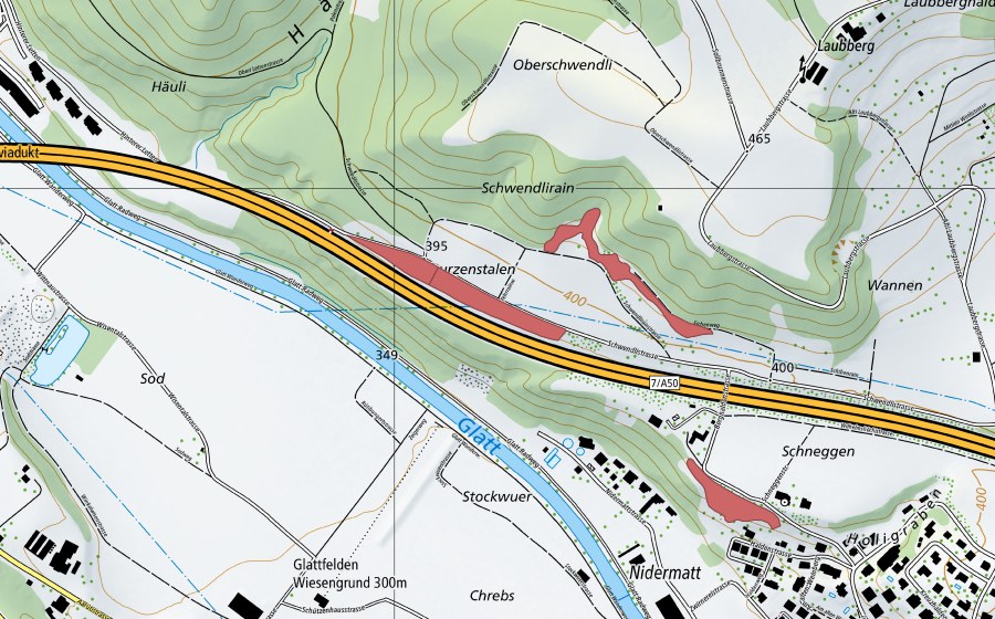 Landeskarte swisstopo mit dem Schutzperimeter von Schwendli (Trockenwiese)