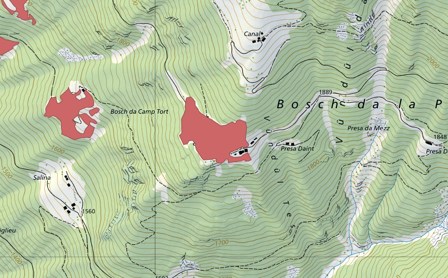 Carte nationale swisstopo avec le périmètre protégé de Sclupetoir (Prairie sèche)