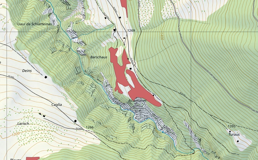 Landeskarte swisstopo mit dem Schutzperimeter von Scuntras (Trockenwiese)