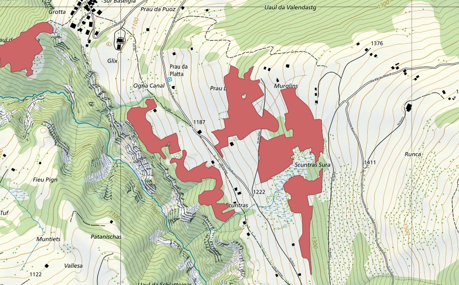 Landeskarte swisstopo mit dem Schutzperimeter von Scuntras (Trockenwiese)