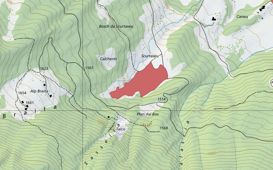 Landeskarte swisstopo mit dem Schutzperimeter von Scurtaseu (Trockenwiese)