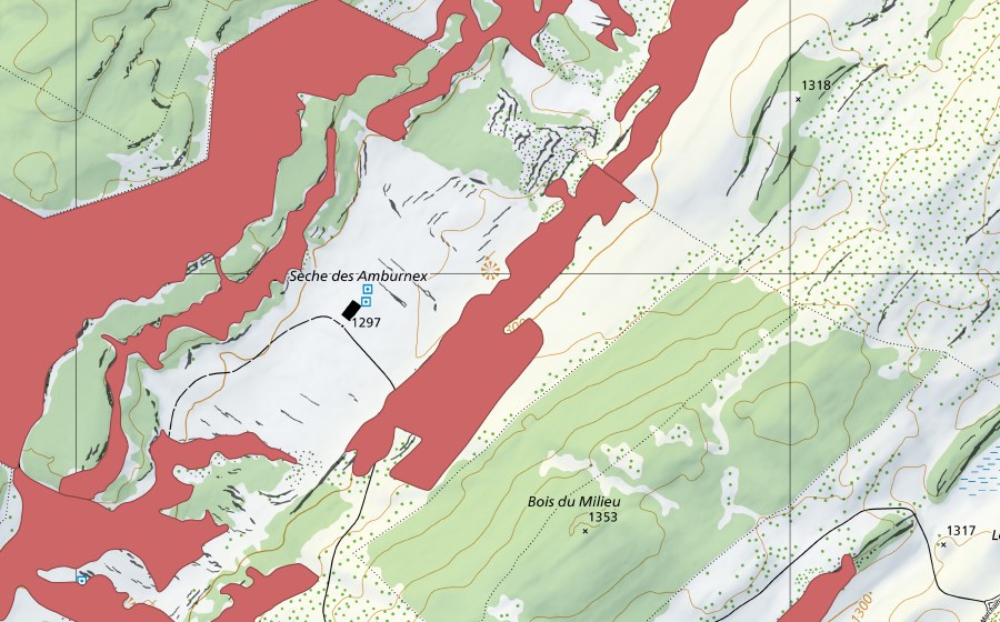 Carte nationale swisstopo avec le périmètre protégé de Sèche des Amburnex (Prairie sèche)