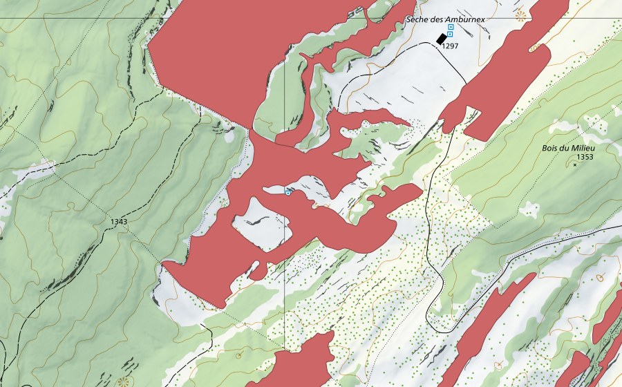 Carte nationale swisstopo avec le périmètre protégé de Sèche des Amburnex (Prairie sèche)