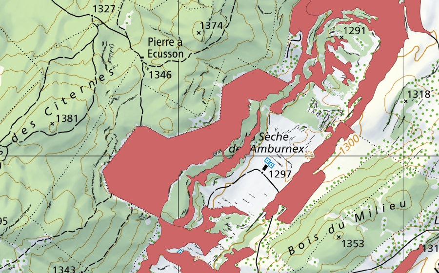 Landeskarte swisstopo mit dem Schutzperimeter von Sèche des Amburnex (Trockenwiese)