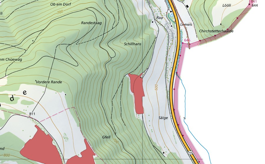 Landeskarte swisstopo mit dem Schutzperimeter von Seigen (Trockenwiese)