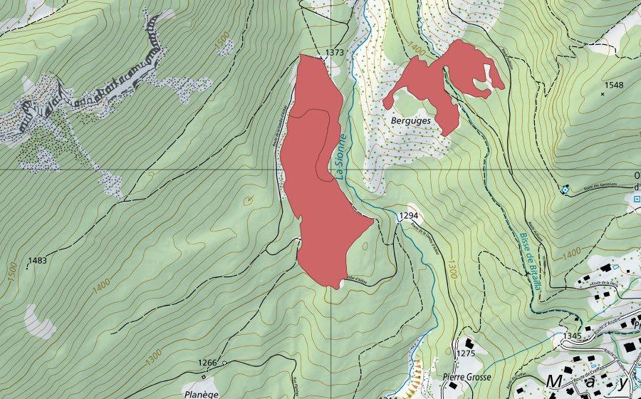 swisstopo national map showing the protected perimeter of Seillon (Dry meadow)