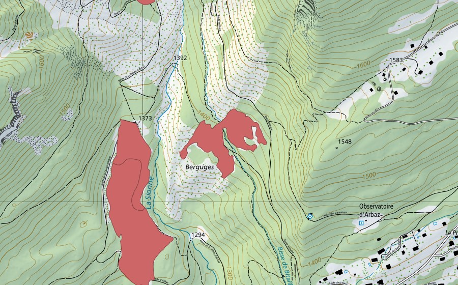 Landeskarte swisstopo mit dem Schutzperimeter von Seillon (Trockenwiese)