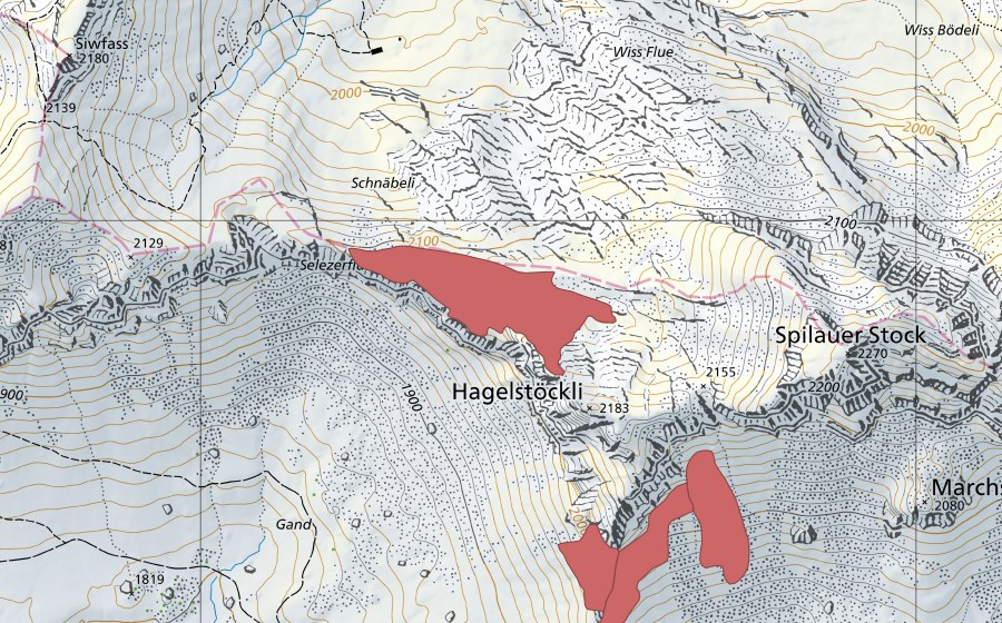 swisstopo national map showing the protected perimeter of Selezerflue (Dry meadow)