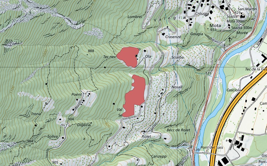 Landeskarte swisstopo mit dem Schutzperimeter von Selva (Trockenwiese)