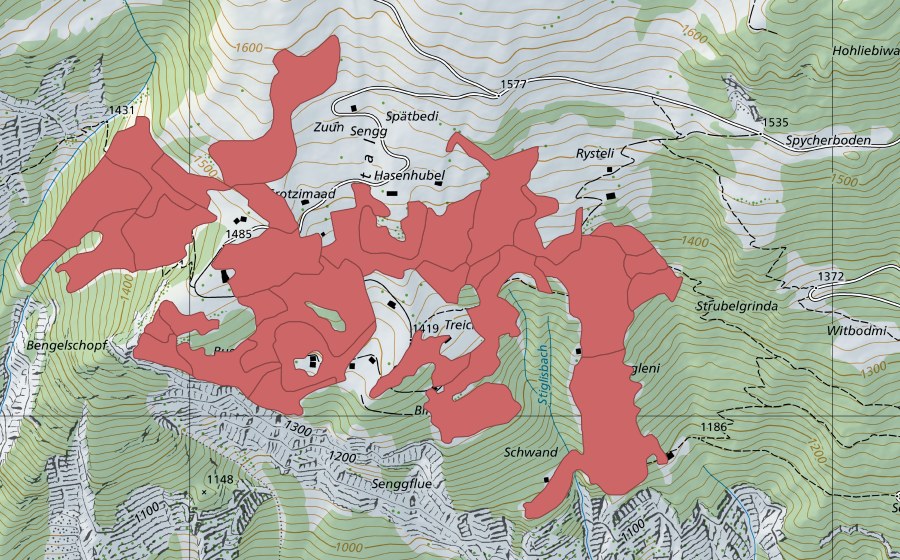 Landeskarte swisstopo mit dem Schutzperimeter von Sengg (Trockenwiese)