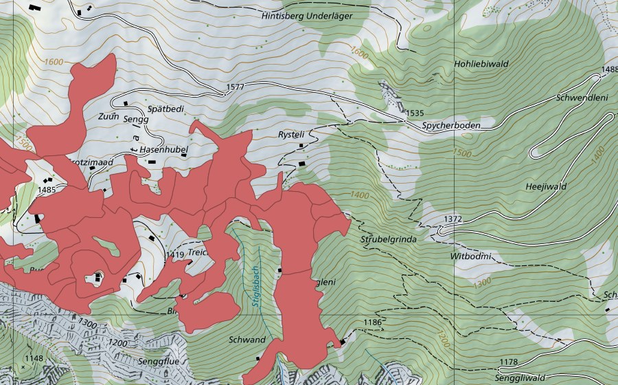 Landeskarte swisstopo mit dem Schutzperimeter von Sengg (Trockenwiese)