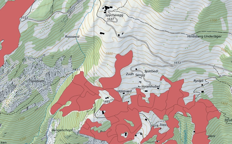 Carte nationale swisstopo avec le périmètre protégé de Sengg (Prairie sèche)