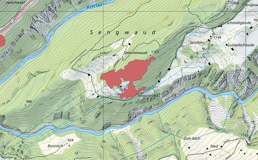 Carta nazionale swisstopo con il perimetro protetto di Sengg (Prato secco)