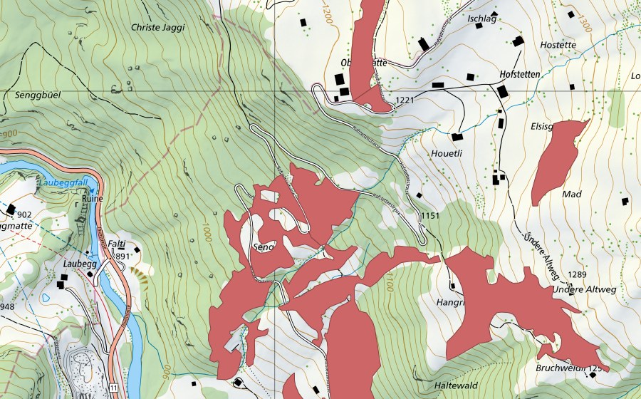 swisstopo national map showing the protected perimeter of Senggi (Dry meadow)
